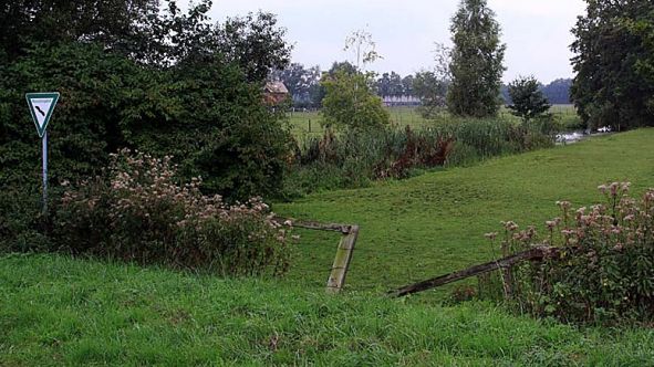 Naturschutzgebiet „Scheelenteich“ (Foto: Biologische Station Kreis Paderborn - Senne e.V.)