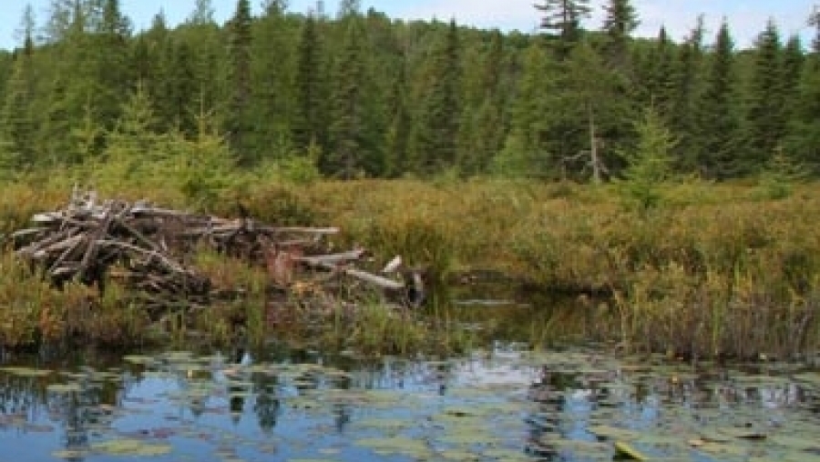 Wasser- und Bodenverbände