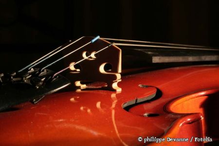 Violine © philippe Devanne / Fotolia