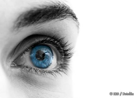 Wie werden Online-Stellenanzeigen wahrgenommen? Dieses Thema wird am Montag, 25. April, im Mittagsgespräch behandelt. © IKO / Fotolia