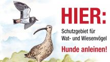 Brutzeit beginnt: Anleinpflicht für Hunde jetzt auch in Vogelschutzgebieten 