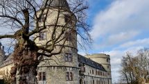 Steigende Besucherzahlen: Kreismuseum Wewelsburg ist Publikumsmagnet