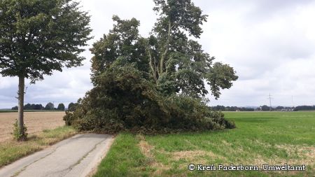 Aufgrund der starken Schäden ist die Sicherheit der Verkehrsteilnehmer nicht mehr gegeben. (Foto: Kreis Paderborn, Umweltamt)