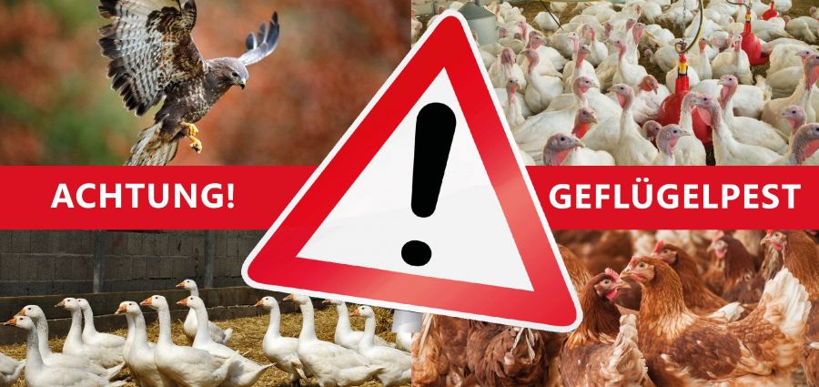 Achtung Geflügelpest