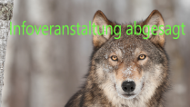 Info-Veranstaltung zum Wolf in Lichtenau abgesagt