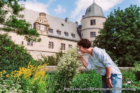 Tee, Aufgüsse oder auch Salben: Die Kräuterbeete im Burggarten der Wewelsburg wurden nach Pflanzlisten der Jesuiten angelegt 