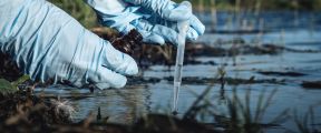 Blaualgen im Lippesee festgestellt 