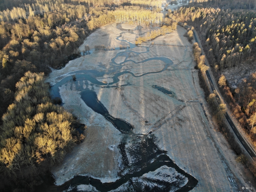 Renaturierungsmaßnahme der Almeaue in Büren-Ringelstein