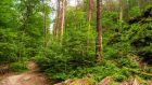 Wahlunterlagen werden verschickt