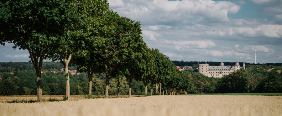 Sommerbilder von der Wewelsburg gesucht: Kreismuseum Wewelsburg ruft Fotowettbewerb aus (©Kreismuseum Wewelsburg, André Heinermann).