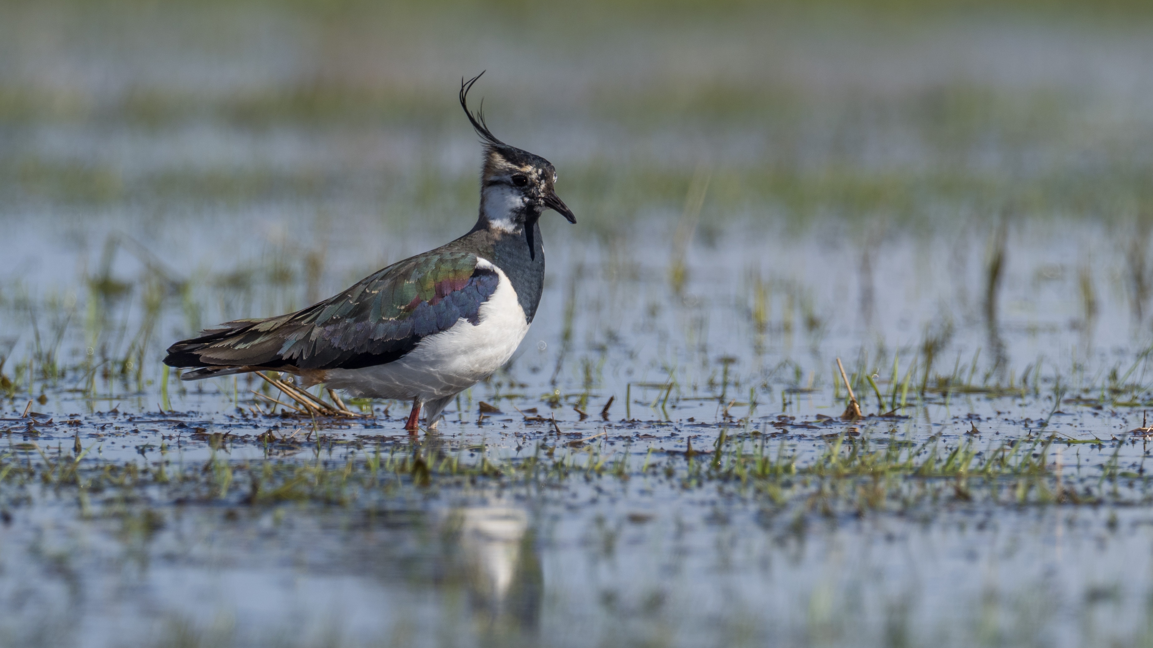 Foto: Christian Venne