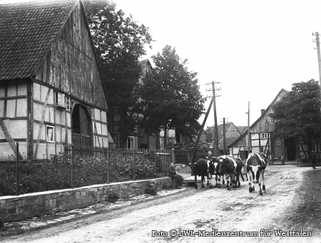 „Das Paderborner Land in der Weimarer Republik (1919–1933)“ – Fachwerk-Bauernhäuser an der Dorfstraße in Niederntudorf, ca. 1918 