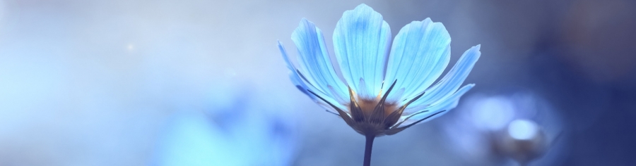 Selbstsorge - Pflegende Angehörige sind eingeladen sich am 18. März, von 15 bis 16.30 Uhr bei Kaffee und Kuchen auszutauschen. Foto: Adobe.stock.com - Yulia