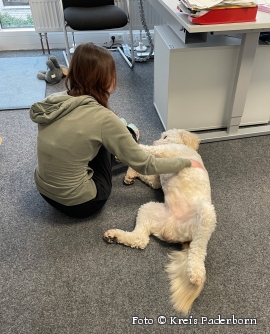 Elmo im Einsatz: Seelentröster und Herzensbrecher