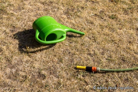 © Adobe Stock - apcefoto