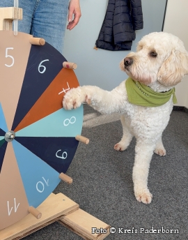 Elmo unterstütz wo er kann.