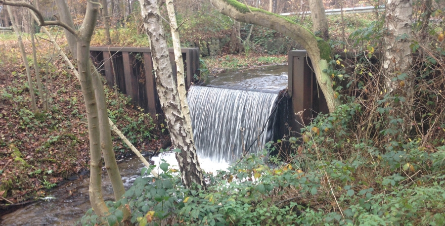 Die Wehranlage hinderte die Fische vor der Renaturierung daran, den Furlbach hochzuwandern. © WOL (Wasserverband Obere Lippe)  