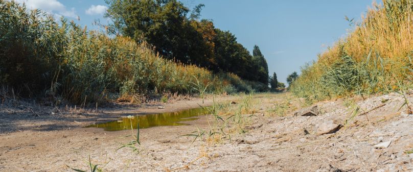 Bei Paderborn-Sande darf der renaturierte Teil der Lippe bei Niedrigwasser nicht befahren werden