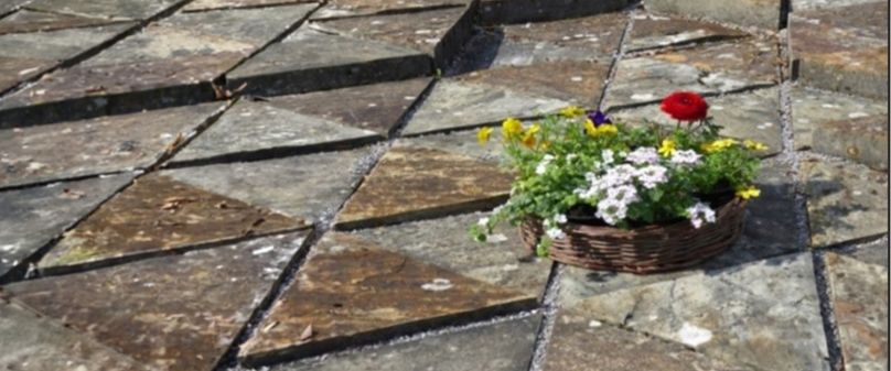 „Ein Appell- Vergesst uns nicht“