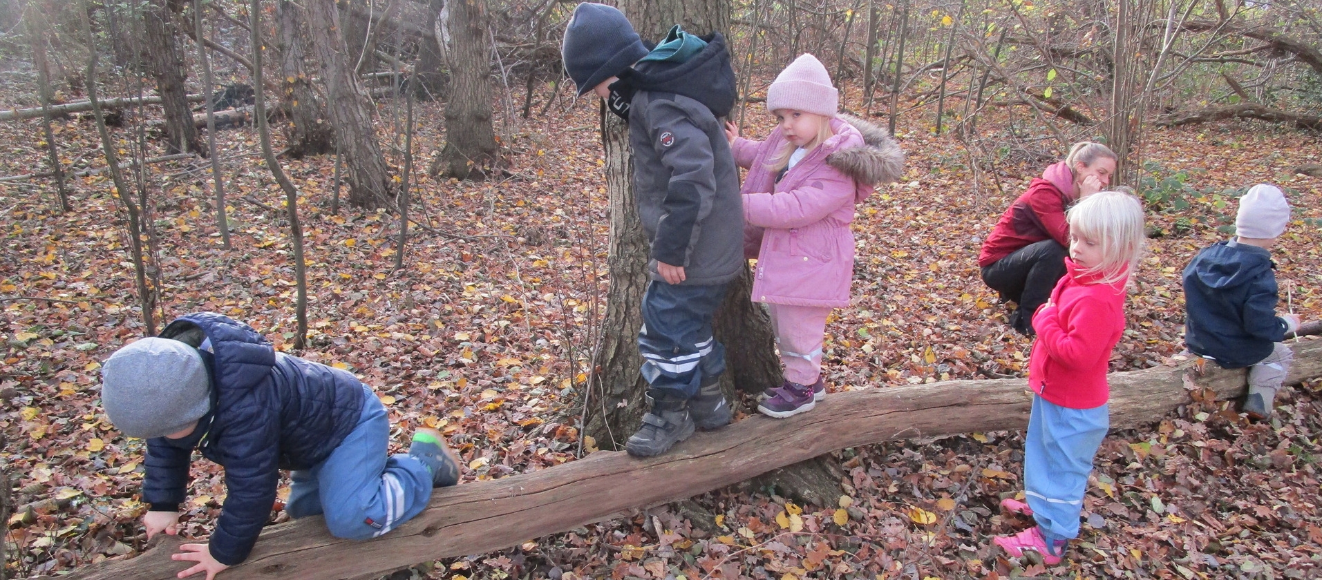 Glückspilze aus Salzkotten beenden Gesundheitsprojekt: Durch Bewegung und Spiel wurden Körper Geist und Seele gestärkt. © Gina Wibberg