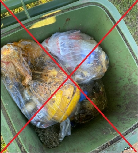 Das Bild zeigt eine falsch befüllte Biotonne.