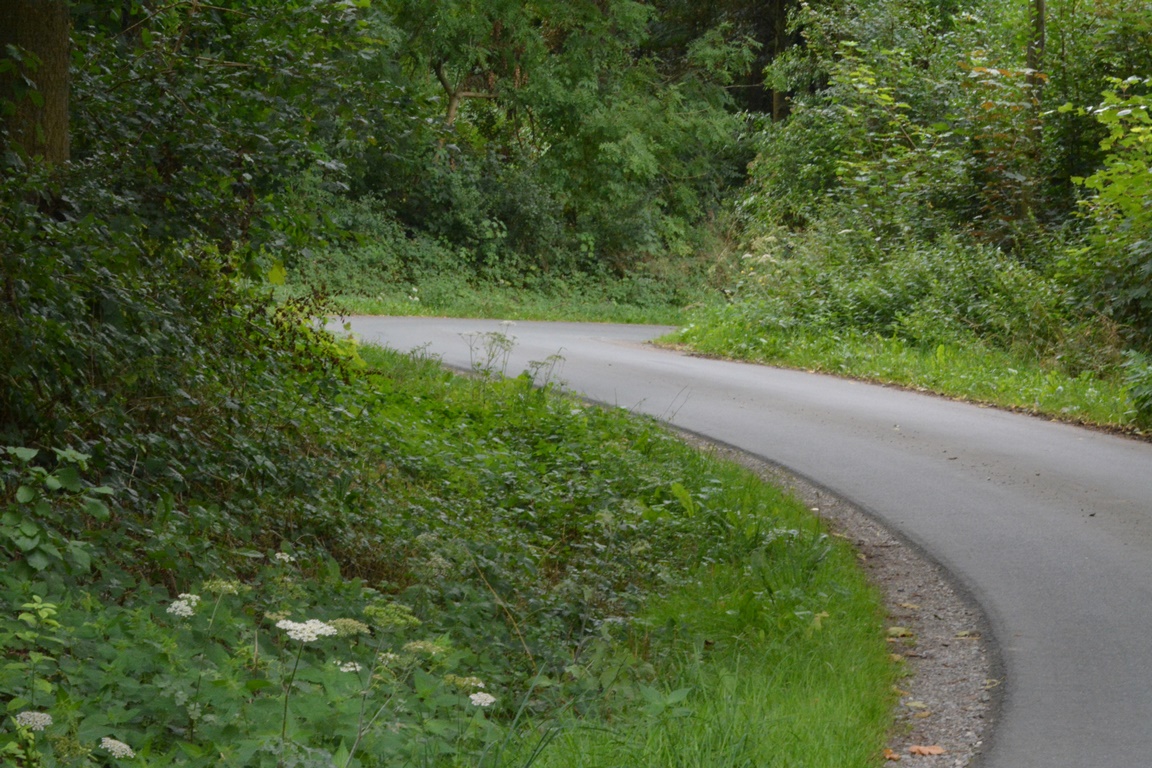 Kurvenreiche Fahrbahn -  der Hissenberg in Borchen-Etteln