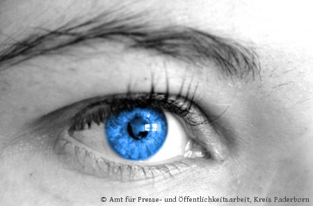 Auge (Foto: Amt für Presse- und Öffentlichkeitsarbeit, Kreis Paderborn)