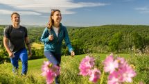 Wirtschaftsfaktor Tourismus: 469,4 Millionen Euro Umsatz in 2025