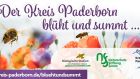 Der Kreis Paderborn blüht und summt
