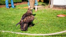 Familientag an der Wewelsburg am Sonntag, 15. Juni von 11 bis 16 Uhr