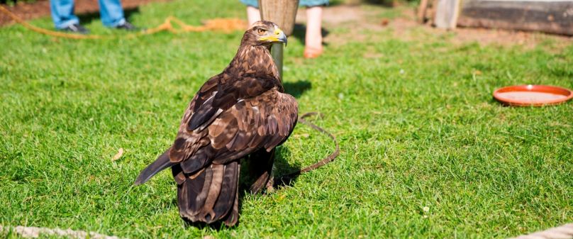 Familientag an der Wewelsburg am Sonntag, 15. Juni von 11 bis 16 Uhr