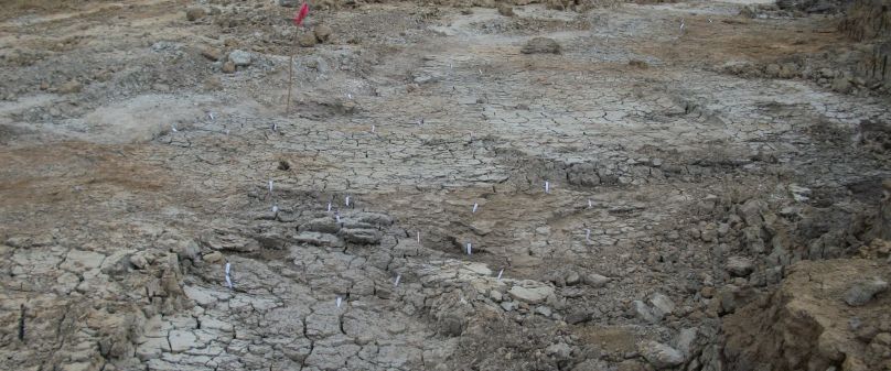 „Überschwemmung als Glücksfall – Ein über 2000 Jahre alter naturheiliger Platz in Delbrück-Bentfeld“