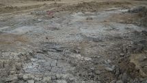 „Überschwemmung als Glücksfall – Ein über 2000 Jahre alter naturheiliger Platz in Delbrück-Bentfeld“
