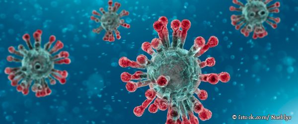 Mikroskopische Ansicht des Coronavirus