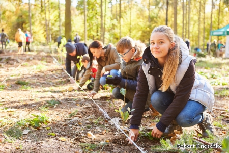 Jugendliche arbeiten gemeinsam unter Anleitung in einem Wald und pflanzen Bäume.