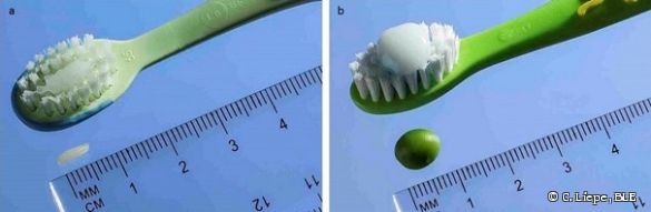 Vergleichsbild: Zahnbürste mit Zahnpasta - Reiskorn & Erbse