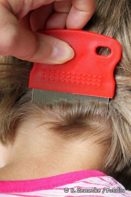 Behandlung mit Läusekamm
