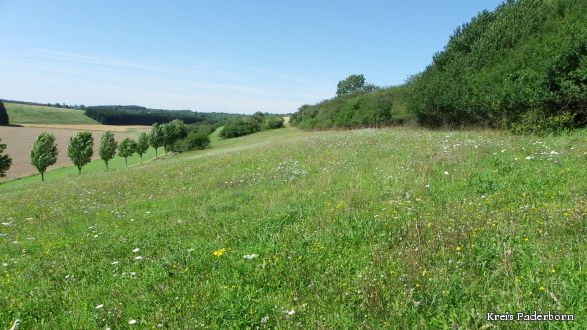 Ellerbachtal bei Dahl