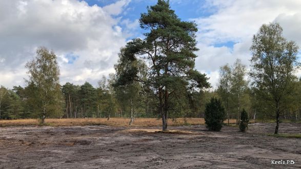 Abgeplaggte Heidefläche im Oktober 2020