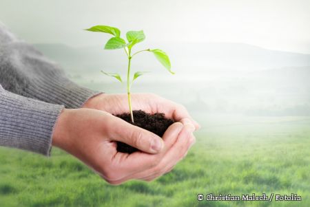 Eine Pflanze wächst in zwei Händen voll Erde Christian Malsch / Fotolia