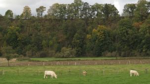 Prallhang oberhalb der Kluskapelle