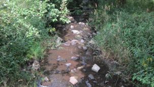 Große Aa an der Schützenwiese (Foto: Kreis Paderborn - Umweltamt)