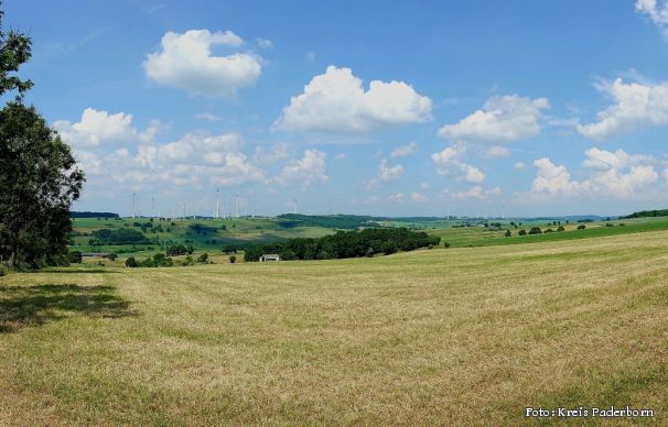 Naturschutzgebiet „Happenberg-Krausenberg-Dunetal"