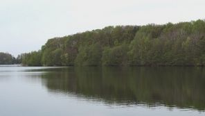 Blick vom See (Foto: Kreis Paderborn - Umweltamt)