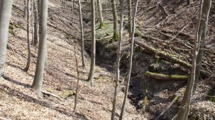 Quellarm der Nette (Foto: Biologische Station Kreis Paderborn - Senne e.V.)