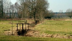 Flößwiese (Foto: Biologische Station Kreis Paderborn - Senne e.V.)