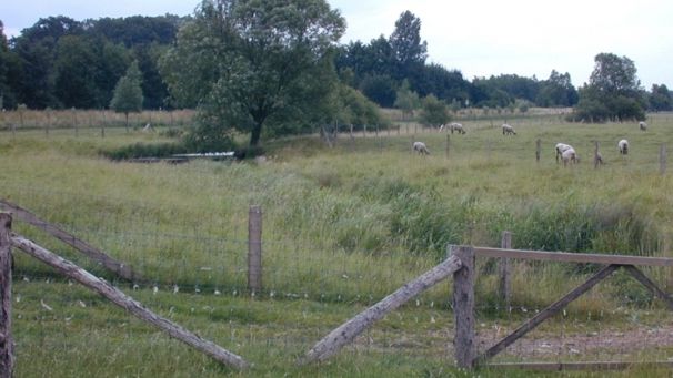 Tallewiesen (Foto: Kreis Paderborn - Umweltamt)
