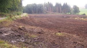 Umwandlung Fichtenforst in Grünland (Foto: Kreis Paderborn - Umweltamt)