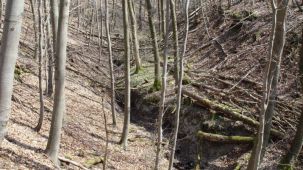 Quellbach (Foto: Biologische Station Kreis Paderborn - Senne e.V.)