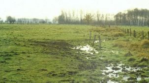 Quellsumpf (Foto: Biologische Station Kreis Paderborn - Senne e.V.)